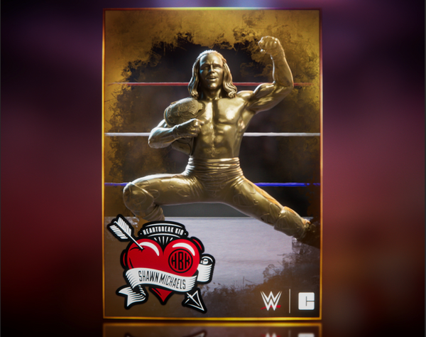 Shawn Michaels Collection Details